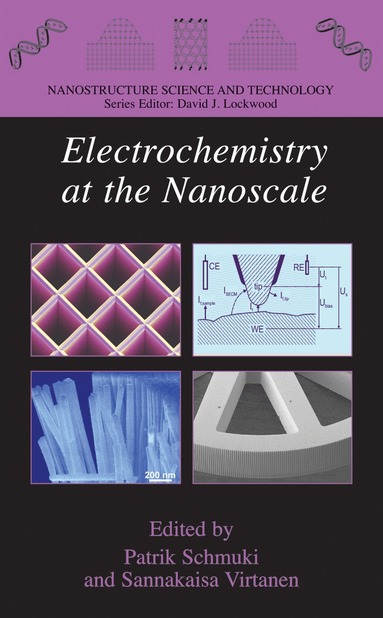 Patrik Schmuki, Sannakaisa Virtanen - Electrochemistry at the Nanoscale, Inbunden