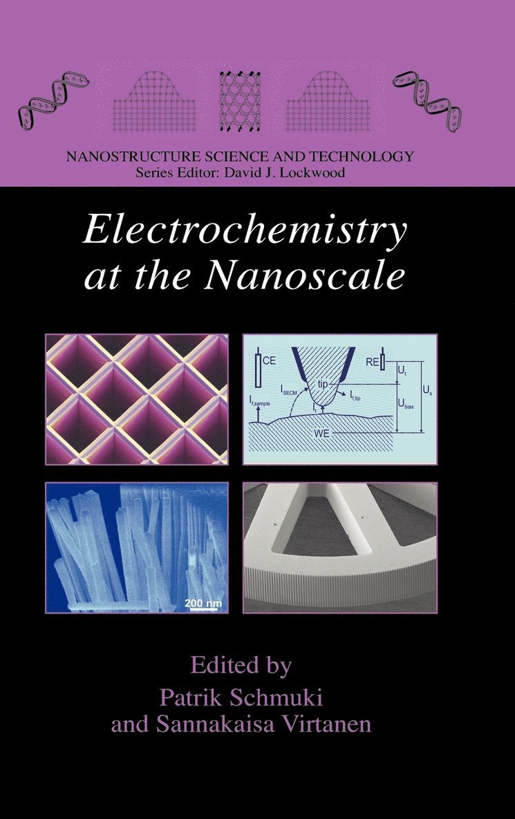 Patrik Schmuki, Sannakaisa Virtanen - Electrochemistry at the Nanoscale, Inbunden