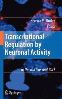 bokomslag Transcriptional Regulation by Neuronal Activity