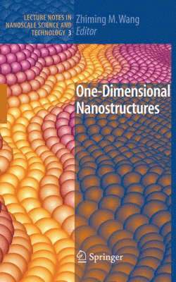 Zhiming M Wang, Zhiming M. Wang - One-Dimensional Nanostructures, Inbunden