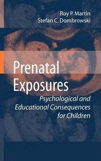 bokomslag Prenatal Exposures