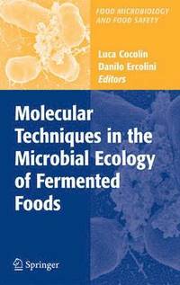 bokomslag Molecular Techniques in the Microbial Ecology of Fermented Foods