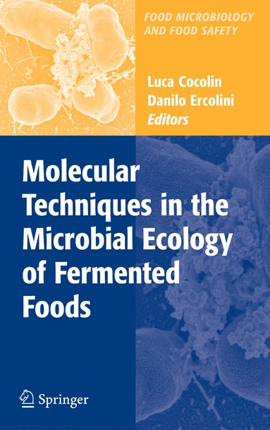 bokomslag Molecular Techniques in the Microbial Ecology of Fermented Foods