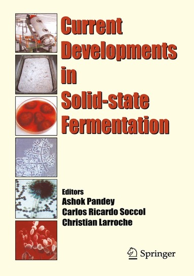 Ashok Pandey, Carlos Ricardo Soccol, Christian Larroche - Current Developments in Solid-state Fermentation, Inbunden