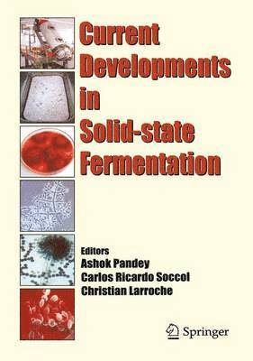 bokomslag Current Developments in Solid-state Fermentation