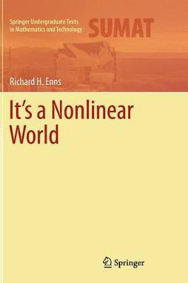 It's a Nonlinear World 1