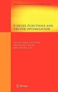 bokomslag V-Invex Functions and Vector Optimization