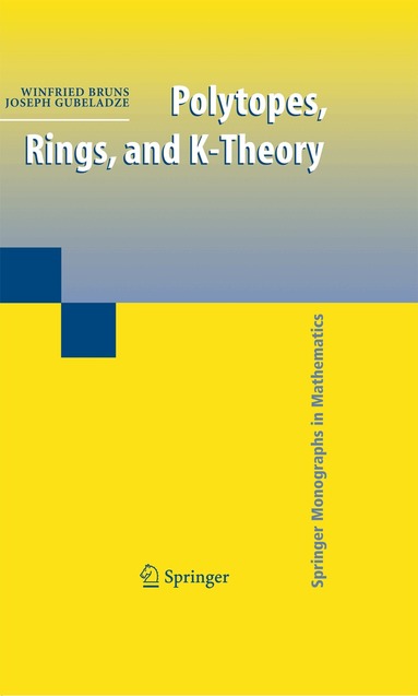 Winfried Bruns, Joseph Gubeladze - Polytopes, Rings, and K-Theory, Inbunden