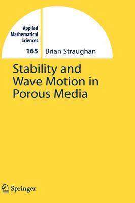 Stability and Wave Motion in Porous Media 1