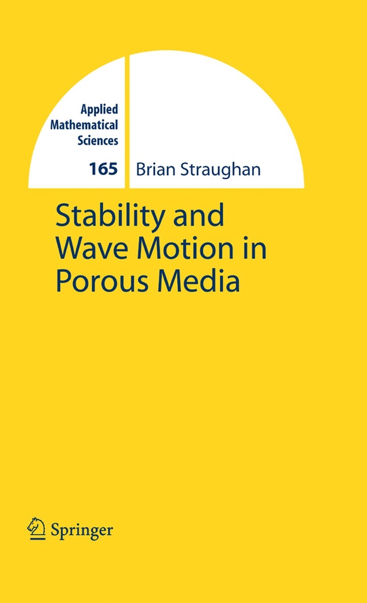 Stability and Wave Motion in Porous Media 1