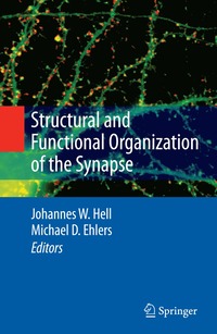 bokomslag Structural and Functional Organization of the Synapse