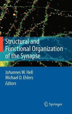 bokomslag Structural and Functional Organization of the Synapse