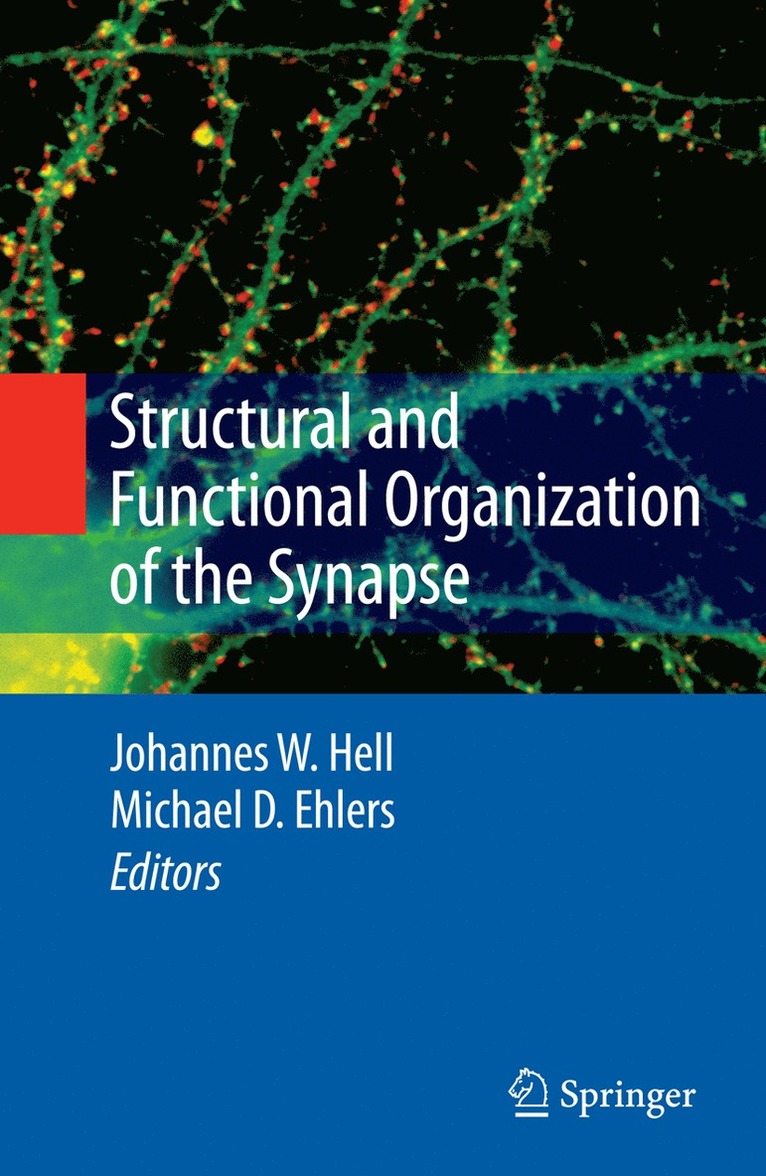 Structural and Functional Organization of the Synapse 1