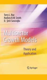bokomslag Multisector Growth Models