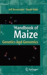 bokomslag Handbook of Maize