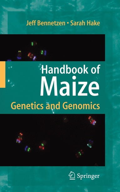 bokomslag Handbook of Maize