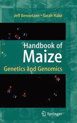 Handbook of Maize 1