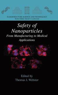 bokomslag Safety of Nanoparticles