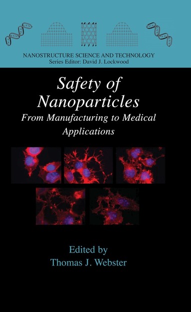 Thomas J. Webster - Safety of Nanoparticles, Inbunden