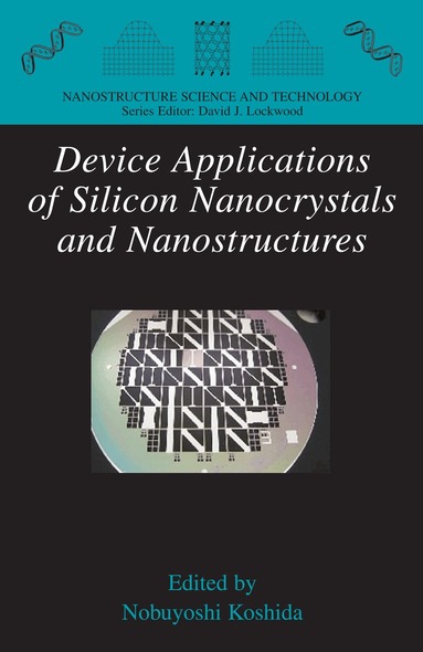 Nobuyoshi Koshida - Device Applications of Silicon Nanocrystals and Nanostructures, Inbunden