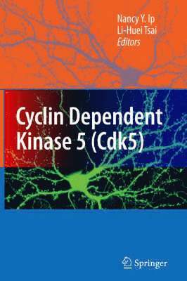 bokomslag Cyclin Dependent Kinase 5 (Cdk5)
