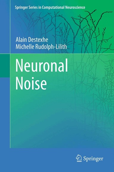 Alain Destexhe, Michelle Rudolph-Lilith - Neuronal Noise, Inbunden