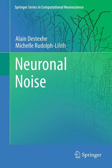 bokomslag Neuronal Noise