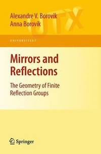 bokomslag Mirrors and Reflections