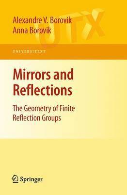 bokomslag Mirrors and Reflections