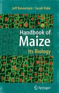 bokomslag Handbook of Maize: Its Biology