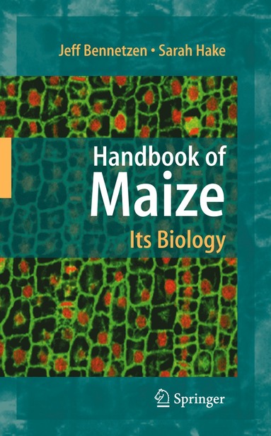 bokomslag Handbook of Maize: Its Biology