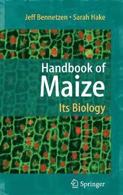 Jeff L. Bennetzen, Sarah C. Hake, Jeff L Bennetzen, Sarah C Hake - Handbook of Maize: Its Biology, Inbunden