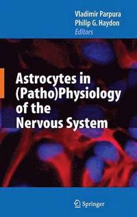 bokomslag Astrocytes in (Patho)Physiology of the Nervous System