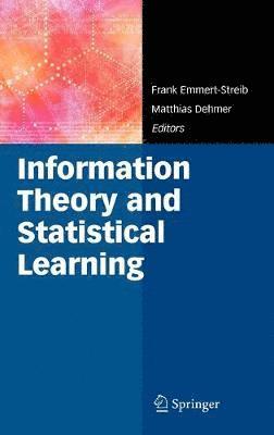 bokomslag Information Theory and Statistical Learning