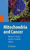bokomslag Mitochondria and Cancer