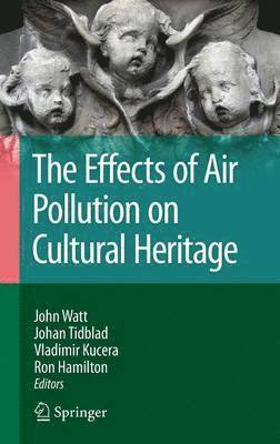 bokomslag The Effects of Air Pollution on Cultural Heritage