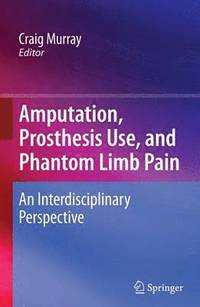 bokomslag Amputation, Prosthesis Use, and Phantom Limb Pain