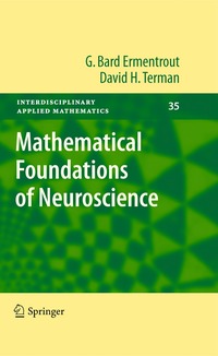 bokomslag Mathematical Foundations of Neuroscience