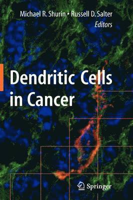 Michael R Shurin, Russell D. Salter, Michael R. Shurin, Russell D Salter - Dendritic Cells in Cancer, Inbunden