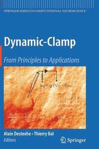bokomslag Dynamic-Clamp