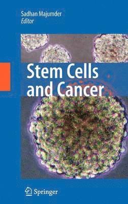 bokomslag Stem Cells and Cancer