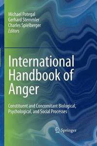 bokomslag International Handbook of Anger