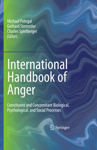 bokomslag International Handbook of Anger