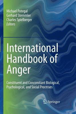 bokomslag International Handbook of Anger
