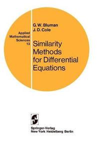 bokomslag Similarity Methods for Differential Equations