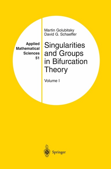 Martin Golubitsky, David G. Schaeffer - Singularities and Groups in Bifurcation Theory, Inbunden