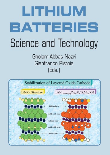 bokomslag Lithium Batteries