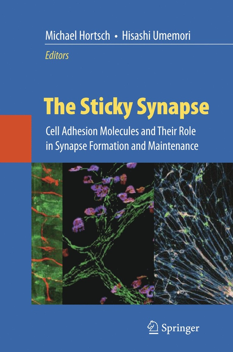 Michael Hortsch, Hisashi Umemori - Sticky Synapse, Inbunden