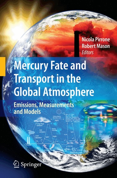 Nicola Pirrone, Robert Mason - Mercury Fate and Transport in the Global Atmosphere, Inbunden