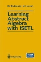 bokomslag Learning Abstract Algebra with ISETL